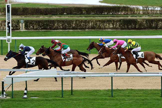 Arrivée quinté pmu PRIX DE LA PIERRE-AUX-FEES à DEAUVILLE