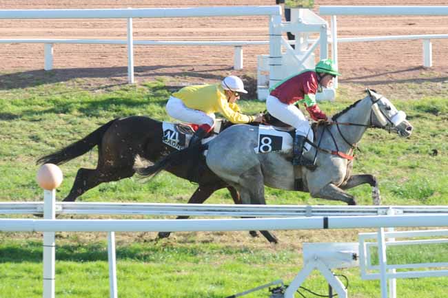 Arrivée quinté pmu PRIX DE LONDRES à CAGNES-SUR-MER