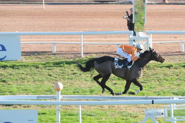 Arrivée quinté pmu PRIX ALAIN DU BREIL à CAGNES-SUR-MER
