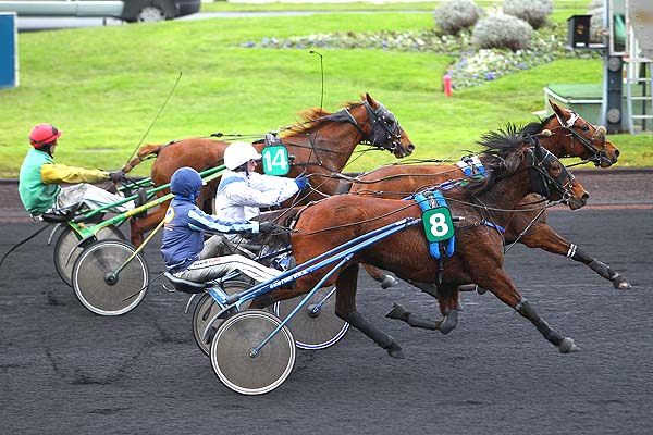 Arrivée quinté pmu PRIX DE QUISSAC à PARIS-VINCENNES