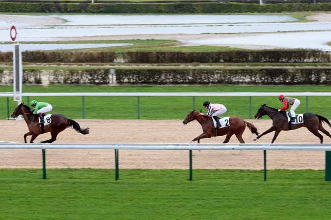 Arrivée quinté pmu PRIX HABITAT à DEAUVILLE [MATINEE]