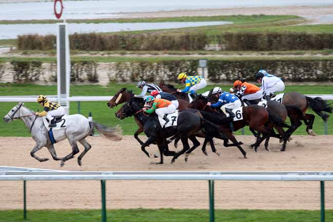 Arrivée quinté pmu PRIX DE ROCQUES à DEAUVILLE