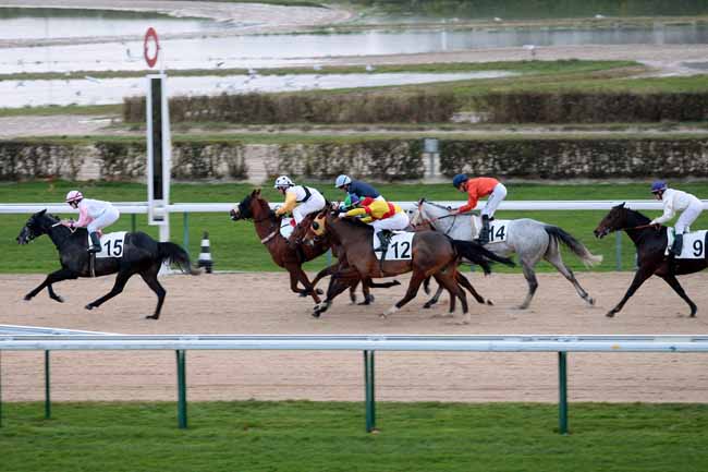 Arrivée quinté pmu PRIX DU BREUIL à DEAUVILLE