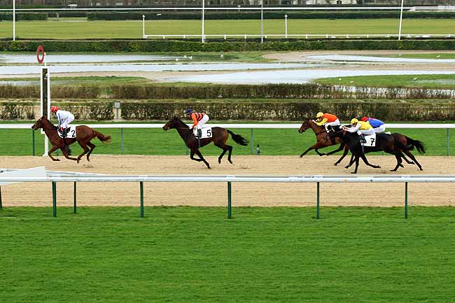 Arrivée quinté pmu PRIX DU VEXIN NORMAND à DEAUVILLE [MATINEE]