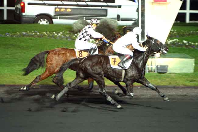 Arrivée quinté pmu PRIX DE COLLIOURE à PARIS-VINCENNES