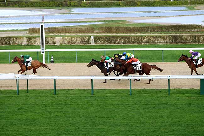 Arrivée quinté pmu PRIX DE LA TORTONNE à DEAUVILLE