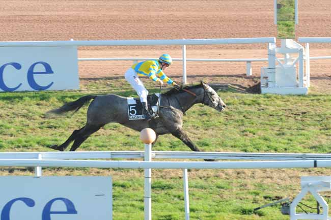 Arrivée quinté pmu PRIX DU PAYS DE LOIRE à CAGNES-SUR-MER
