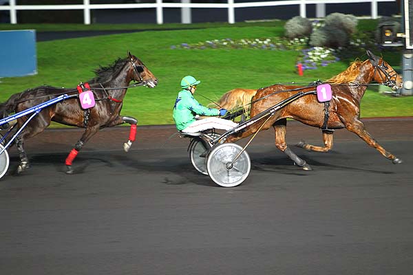 Arrivée quinté pmu PRIX DES EGLANTIERS à PARIS-VINCENNES
