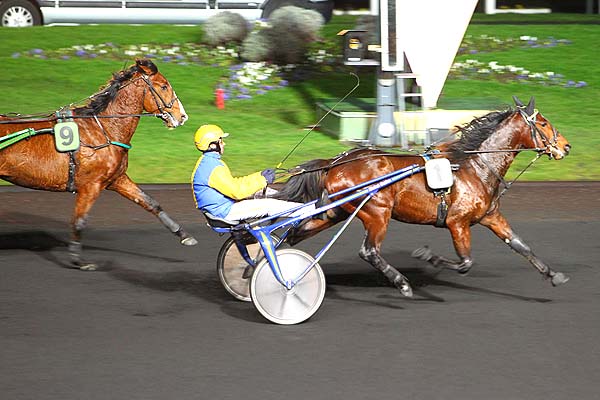 Arrivée quinté pmu PRIX DE TRIE-SUR-BAISE à PARIS-VINCENNES