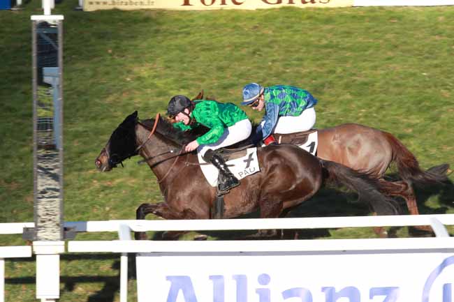 Arrivée quinté pmu PRIX RENAUD DU VIVIER à PAU