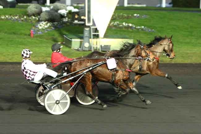 Arrivée quinté pmu PRIX DE DOUAI à PARIS-VINCENNES