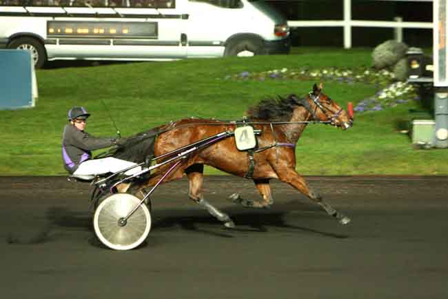 Arrivée quinté pmu PRIX D'ACIGNE à PARIS-VINCENNES