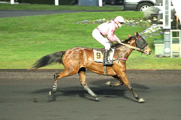 Arrivée quinté pmu PRIX DE MAULEON à PARIS-VINCENNES