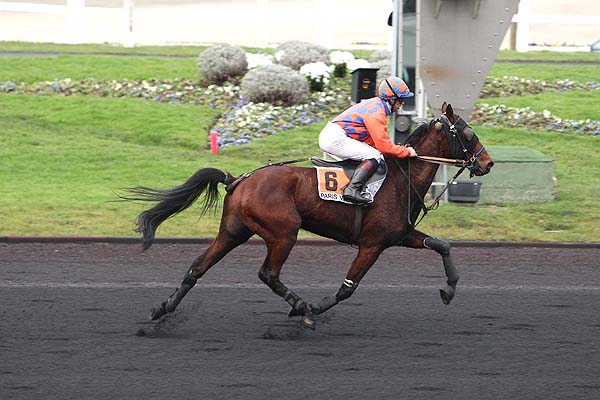 Arrivée quinté pmu PRIX DE BOLLENE à PARIS-VINCENNES