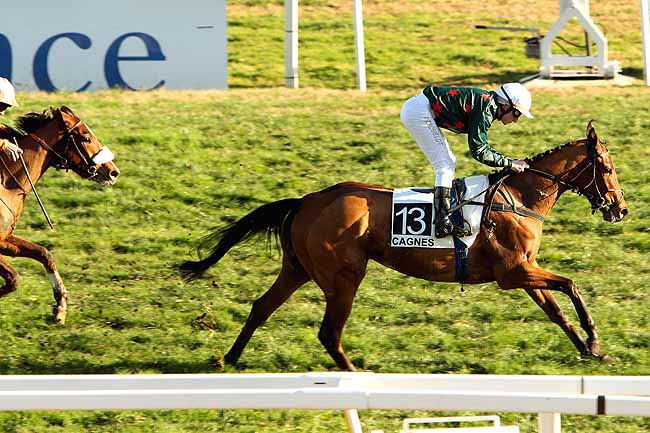 Arrivée quinté pmu PRIX DES BLEUETS à CAGNES-SUR-MER