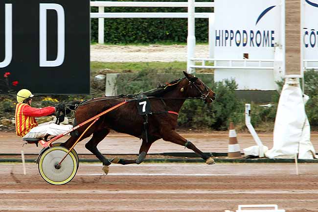 Arrivée quinté pmu PRIX DOLLAR DE MESLAY à CAGNES-SUR-MER