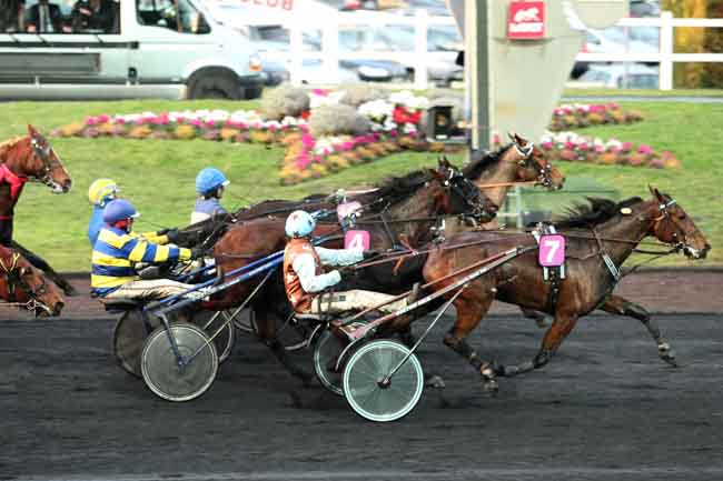 Arrivée quinté pmu PRIX HELEN JOHANSSON à PARIS-VINCENNES