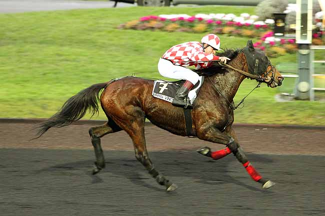 Arrivée quinté pmu PRIX DE CARCASSONNE à PARIS-VINCENNES