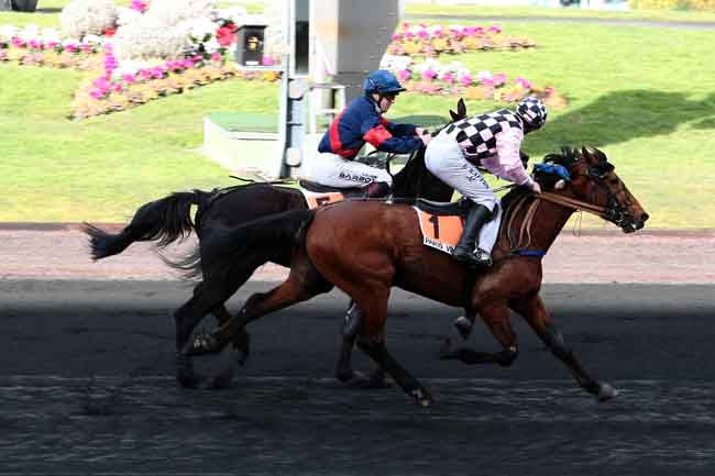 Arrivée quinté pmu PRIX DE PAIMBOEUF à PARIS-VINCENNES