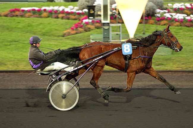 Arrivée quinté pmu PRIX DE COULOMMIERS à PARIS-VINCENNES
