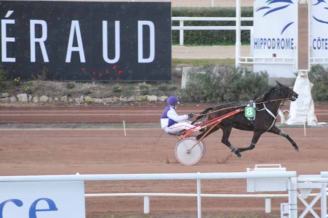 Arrivée quinté pmu PRIX DE PEZENAS à CAGNES-SUR-MER