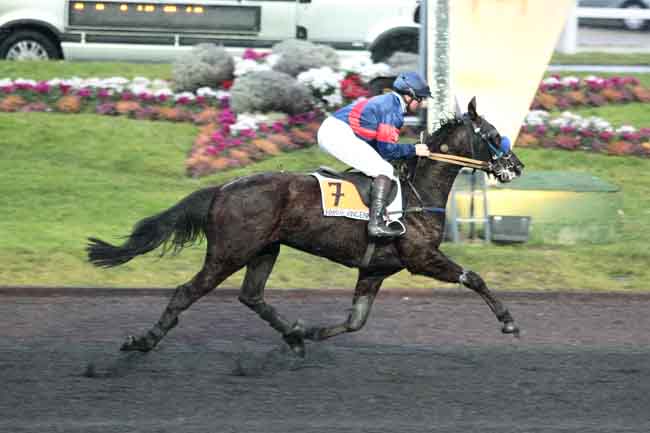 Arrivée quinté pmu PRIX DE DIVONNE à PARIS-VINCENNES