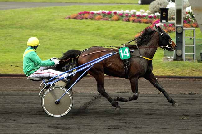 Arrivée quinté pmu PRIX DE GUERANDE à PARIS-VINCENNES