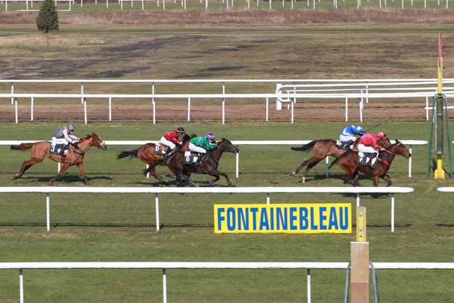 Arrivée quinté pmu PRIX DE MONTIGNY-SUR-LOING à FONTAINEBLEAU