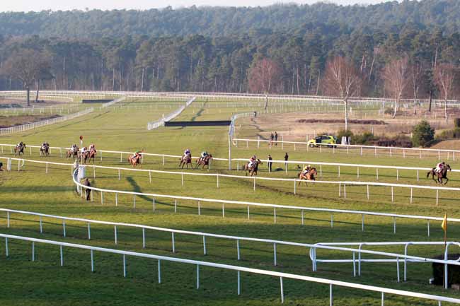 Arrivée quinté pmu PRIX DE LA SOCIETE DES COURSES DE CRAON à FONTAINEBLEAU