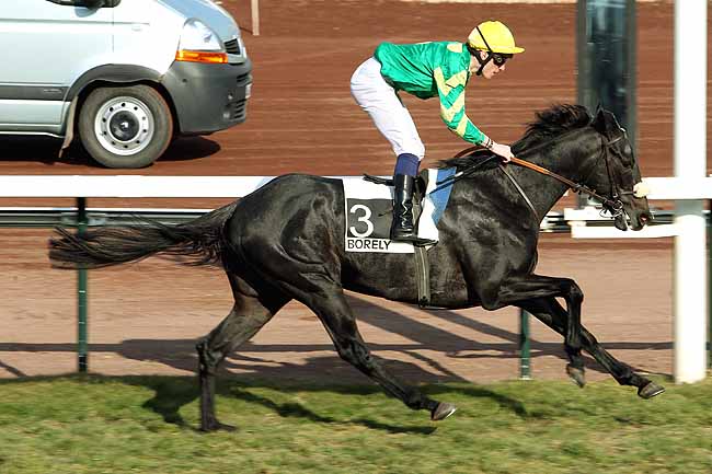 Arrivée quinté pmu PRIX DE VALDONNE à MARSEILLE-BORELY