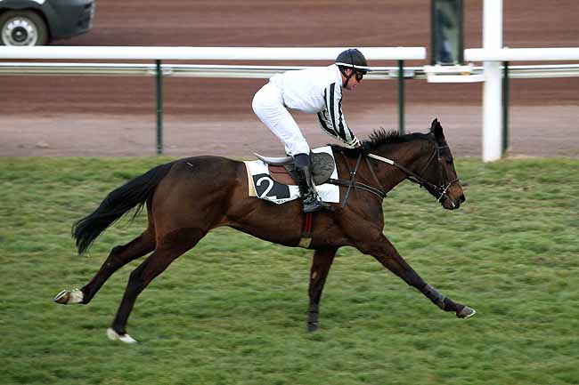 Arrivée quinté pmu PRIX DU PONT-FLAVIEN à MARSEILLE-BORELY