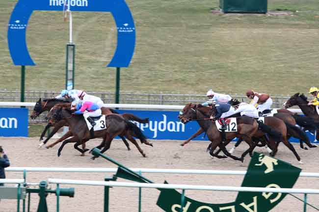 Arrivée quinté pmu PRIX DE BALIVIERE à CHANTILLY