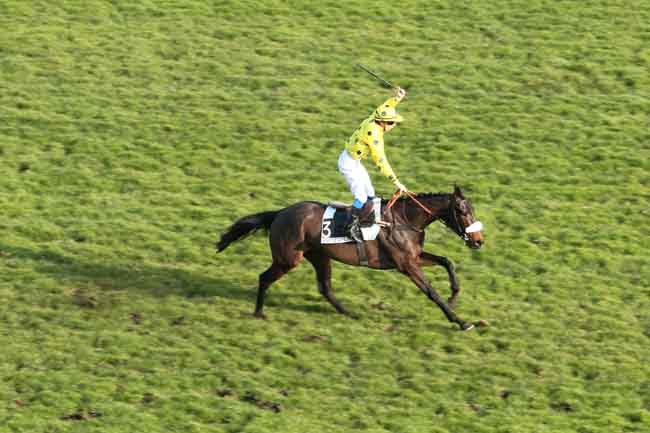 Arrivée quinté pmu PRIX ROBERT DE CLERMONT-TONNERRE à AUTEUIL
