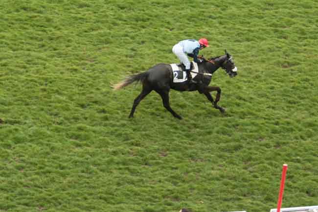 Arrivée quinté pmu PRIX DE L'YONNE à AUTEUIL