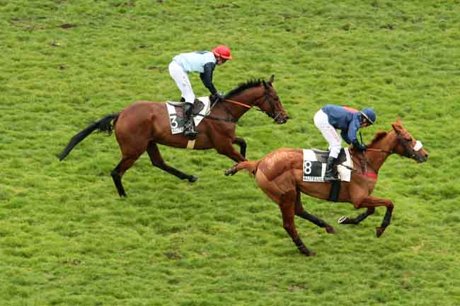Arrivée quinté pmu PRIX COUSIN PONS à AUTEUIL