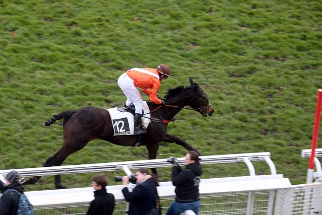 Arrivée quinté pmu PRIX RUSH à AUTEUIL