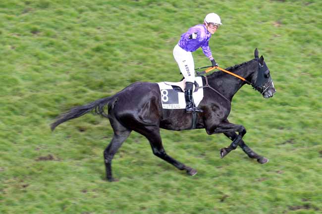Arrivée quinté pmu PRIX MASTER BOB à AUTEUIL