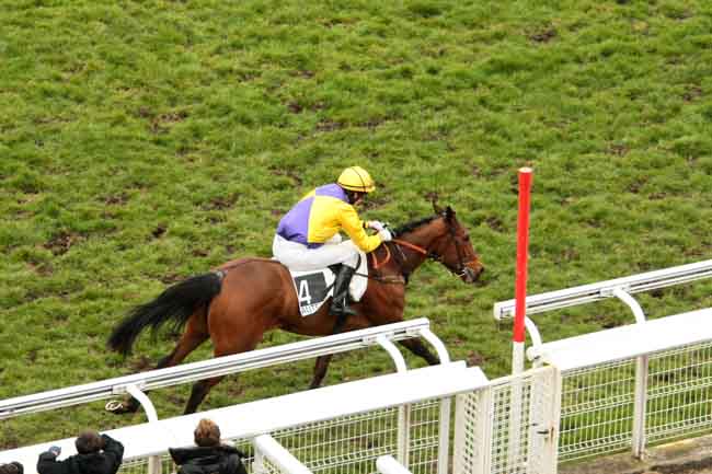 Arrivée quinté pmu PRIX ALAIN GRIMAUX à AUTEUIL