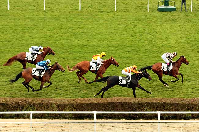 Arrivée quinté pmu PRIX OMNIUM II à SAINT-CLOUD