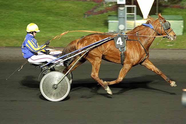 Arrivée quinté pmu PRIX APPOLONIA à PARIS-VINCENNES