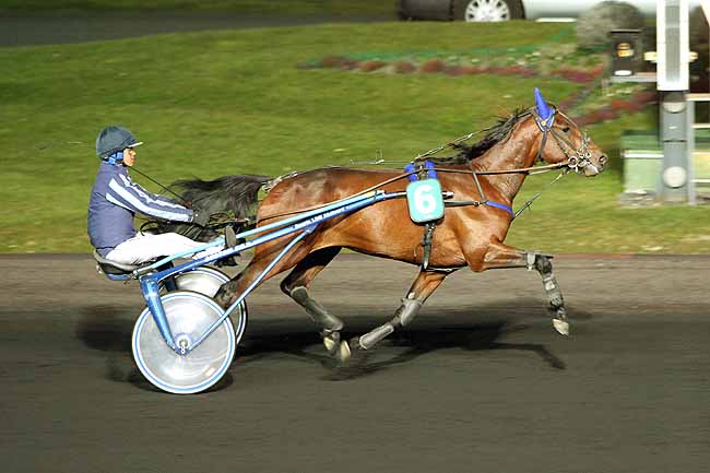 Arrivée quinté pmu PRIX BEATRIX à PARIS-VINCENNES