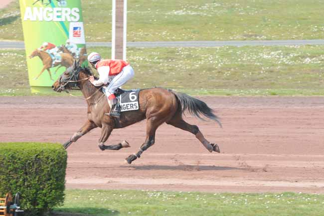 Arrivée quinté pmu PRIX DE L'AUBIER à ANGERS