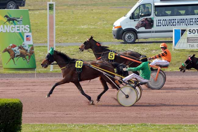 Arrivée quinté pmu PRIX OLINUS à ANGERS