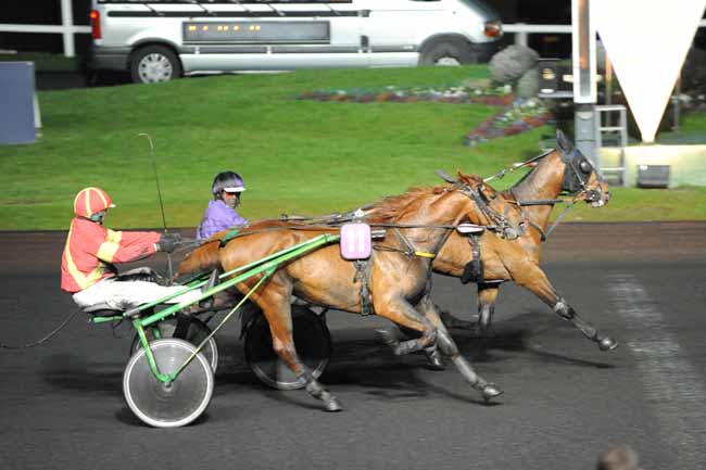 Arrivée quinté pmu PRIX PROSERPINA à PARIS-VINCENNES