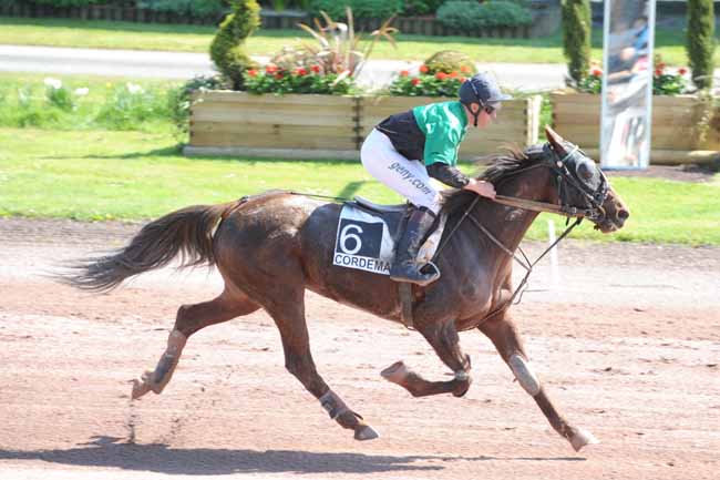 Arrivée quinté pmu PRIX DE LA VILLE DU TEMPLE DE BRETAGNE à CORDEMAIS