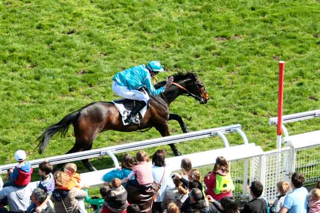 Arrivée quinté pmu PRIX JEAN GRANEL à AUTEUIL