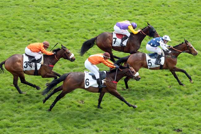 Arrivée quinté pmu PRIX DE CASTETS à AUTEUIL