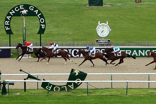 Arrivée quinté pmu PRIX DE LA QUEUE DU RENARD à CHANTILLY