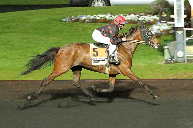 Arrivée quinté pmu PRIX HENRI CHRETIEN à PARIS-VINCENNES