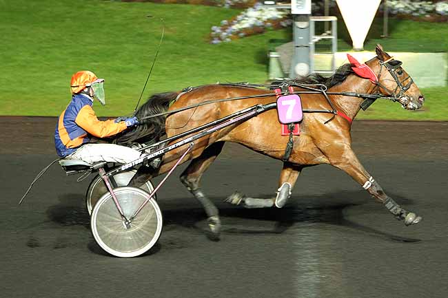 Arrivée quinté pmu PRIX LORELEY à PARIS-VINCENNES